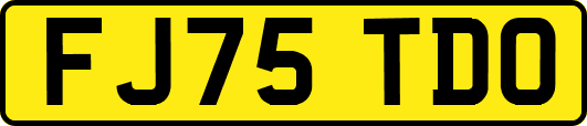 FJ75TDO