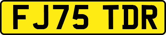 FJ75TDR