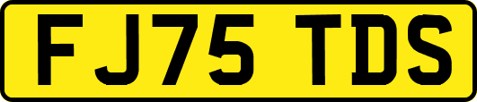 FJ75TDS