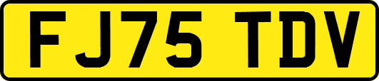 FJ75TDV