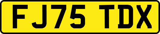 FJ75TDX