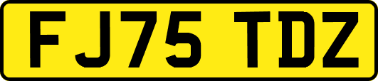 FJ75TDZ