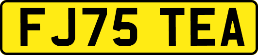 FJ75TEA