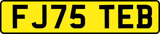 FJ75TEB
