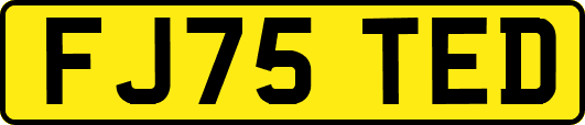 FJ75TED