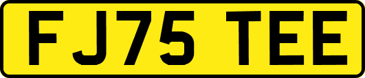 FJ75TEE