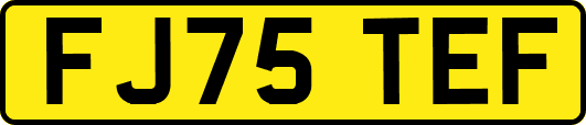 FJ75TEF