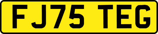 FJ75TEG