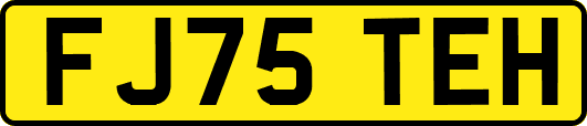 FJ75TEH