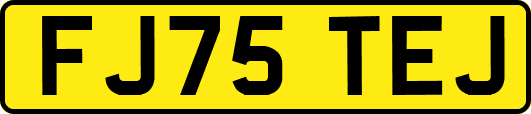 FJ75TEJ