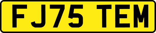 FJ75TEM