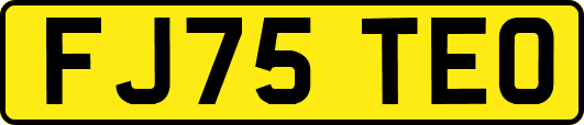 FJ75TEO