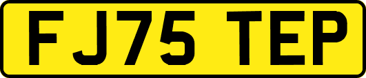 FJ75TEP