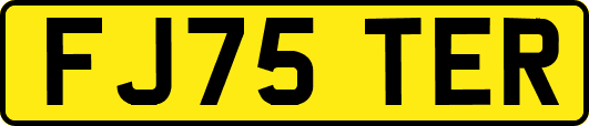 FJ75TER