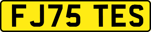 FJ75TES