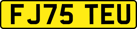 FJ75TEU