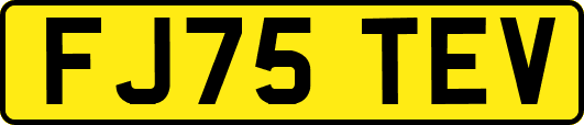 FJ75TEV