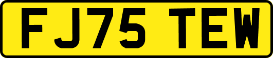 FJ75TEW