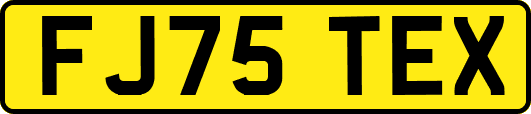 FJ75TEX