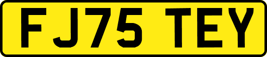 FJ75TEY