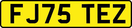 FJ75TEZ
