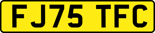 FJ75TFC