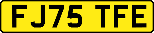 FJ75TFE