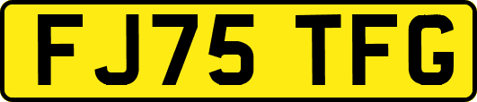 FJ75TFG