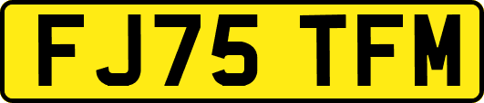FJ75TFM