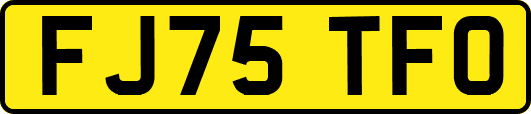 FJ75TFO