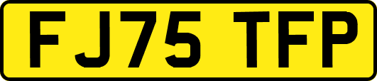 FJ75TFP