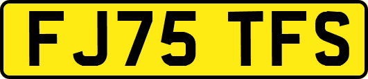 FJ75TFS