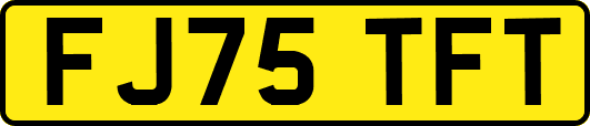 FJ75TFT