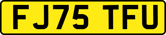 FJ75TFU