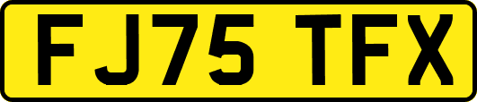 FJ75TFX