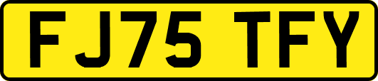 FJ75TFY