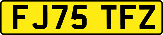 FJ75TFZ
