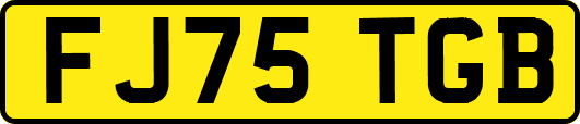 FJ75TGB
