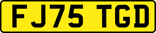 FJ75TGD