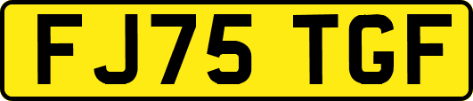 FJ75TGF