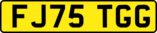 FJ75TGG