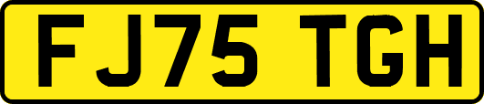 FJ75TGH