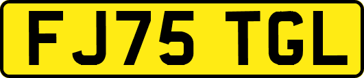 FJ75TGL