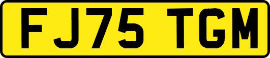 FJ75TGM