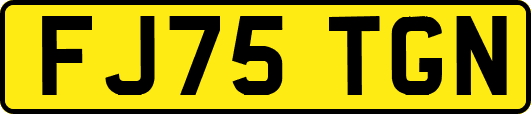 FJ75TGN