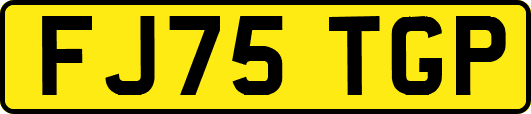 FJ75TGP
