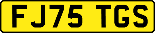 FJ75TGS