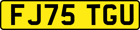 FJ75TGU