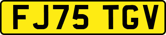 FJ75TGV
