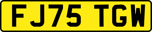 FJ75TGW
